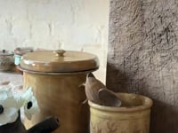 Savoie Jam Pot