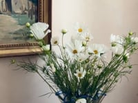 Villeroy & Boch Vase